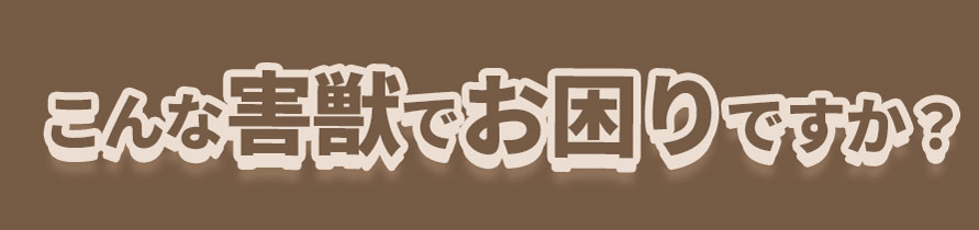 こんな害獣でお困りですか？