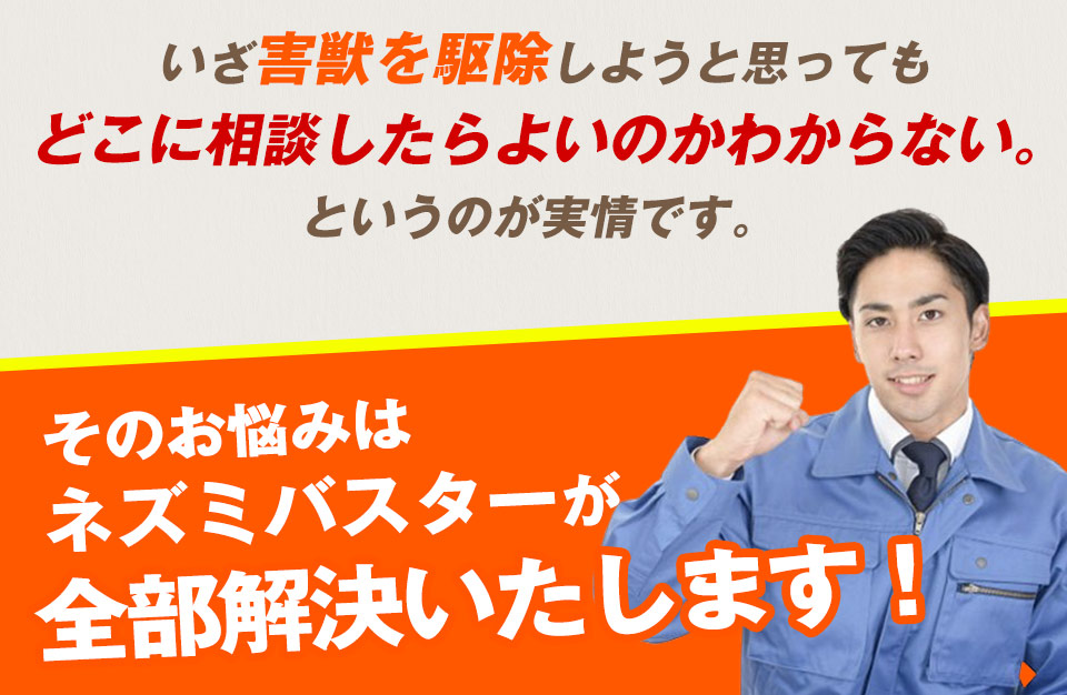 いざ害獣を駆除しようと思ってもどこに相談したらよいのかわからない。というのが実情です。そのお悩みは害獣レスキューが全部解決いたします！