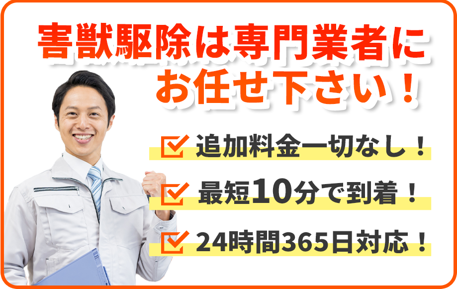 害獣駆除は専門業者にお任せ下さい！