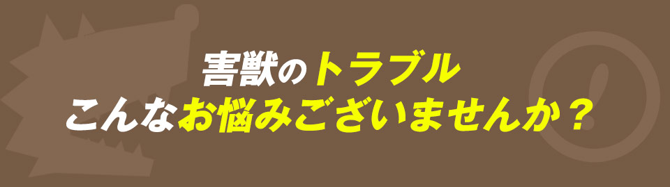 害獣のトラブルこんなお悩みございませんか？