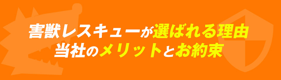 害獣レスキューが選ばれる理由当社のメリットとお約束