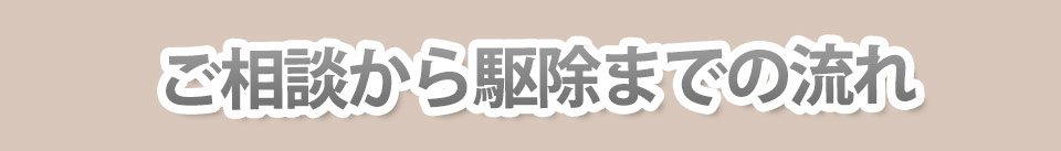 ご相談から駆除までの流れ