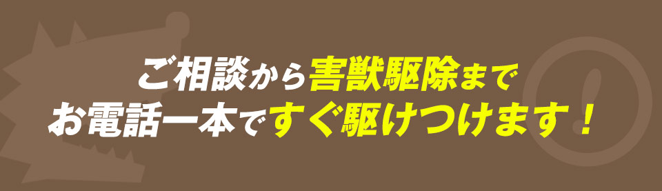 ご相談から害獣駆除までお電話一本ですぐ駆けつけます！