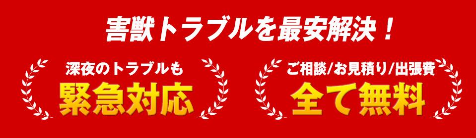 害獣トラブルを最安解決！！深夜のトラブルも緊急対応！ご相談/お見積り/出張費全て無料！