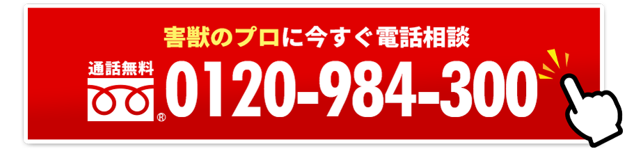 害獣のプロに今すぐ電話相談タップで無料通話