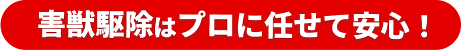 害獣駆除はプロに任せて安心！