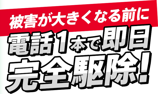 被害が大きくなる前に電話1本で即日完全駆除！