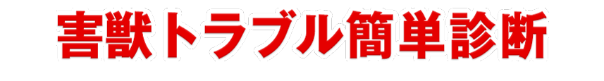 害獣トラブル簡単診断。迅速な原因特定が安心価格のポイント